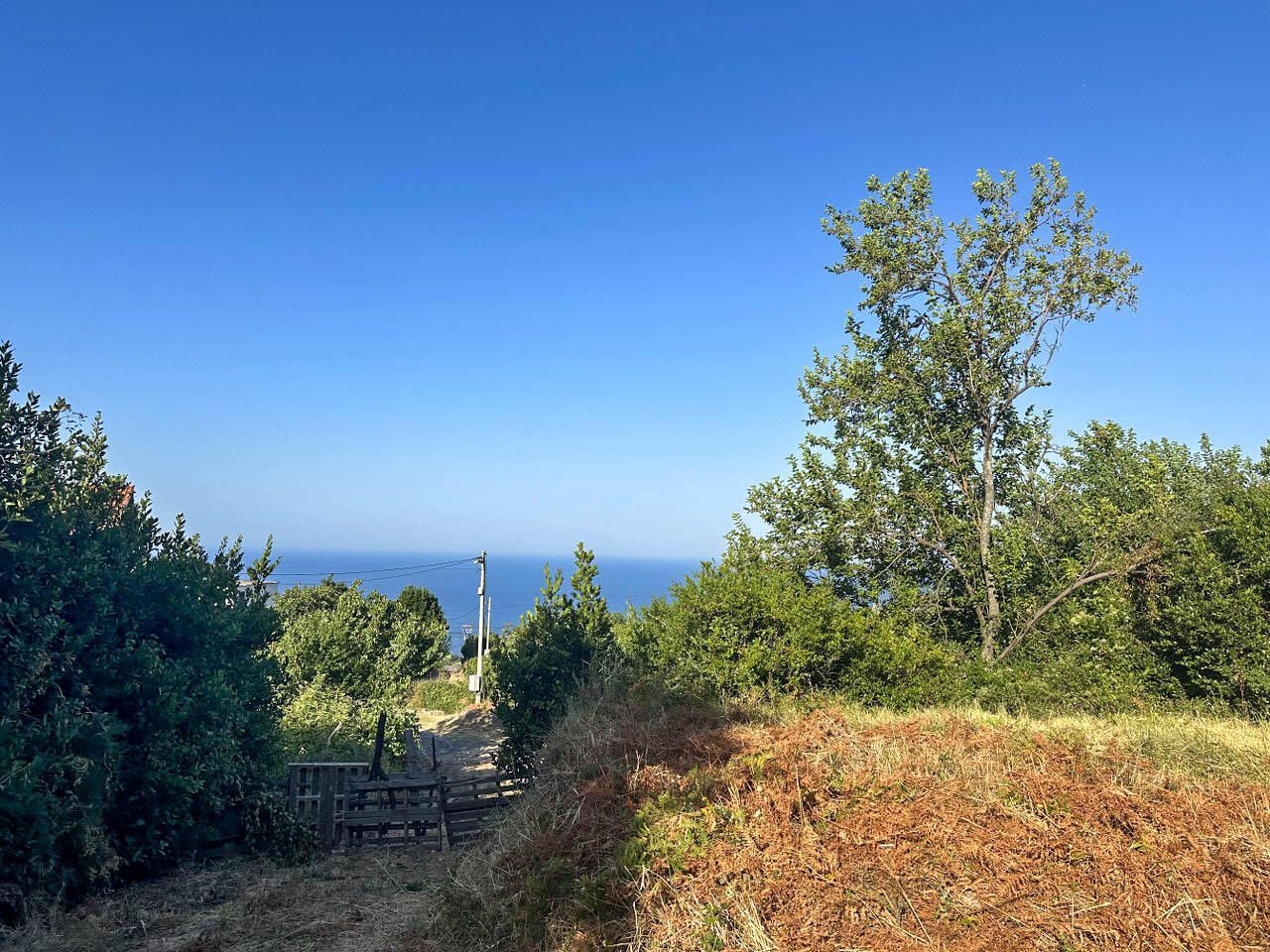 Land in Dobra Voda, Montenegro, 1 550 m² - picture 5