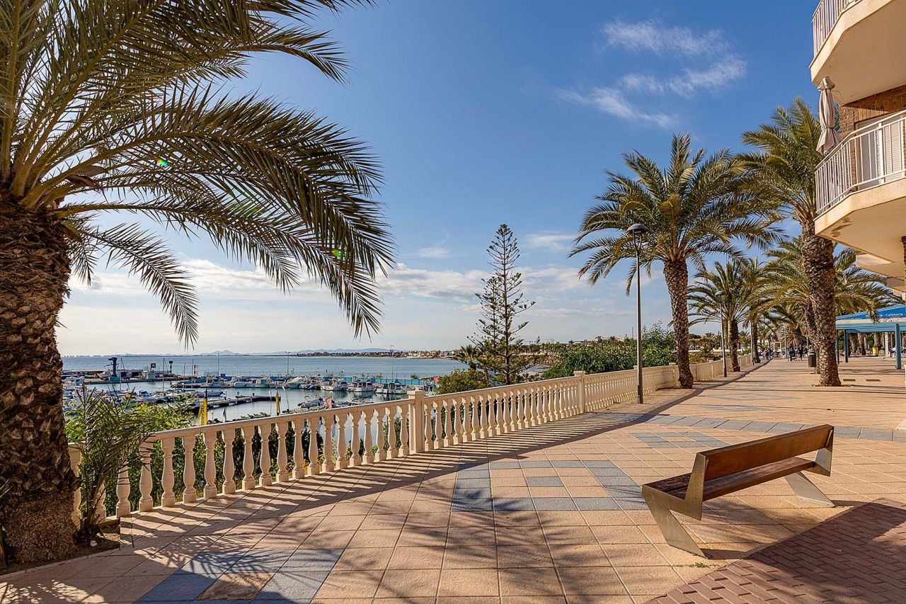 Appartement à Pilar de la Horadada, Espagne, 81 m² - image 15