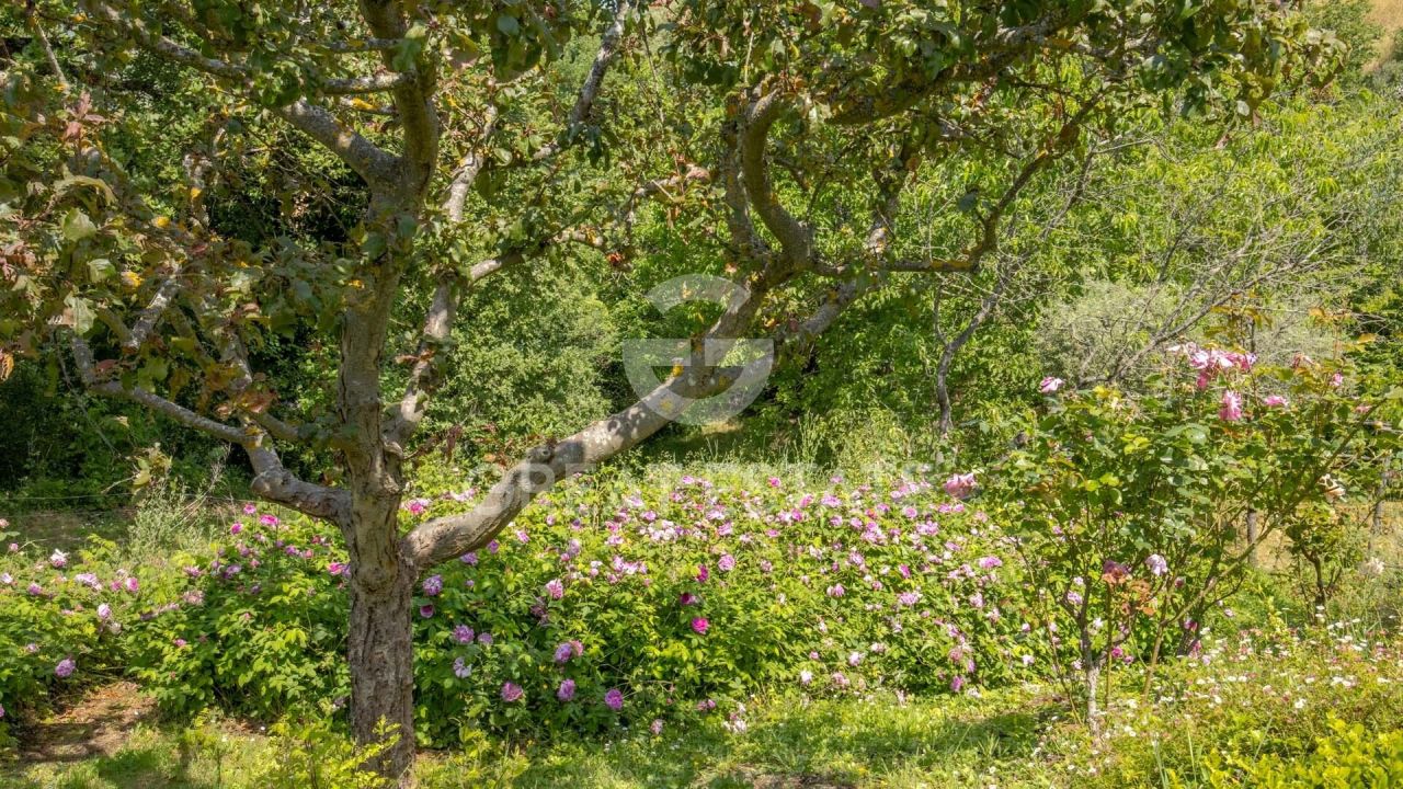 Haus in Paciano, Italien, 332.6 m² - Foto 16