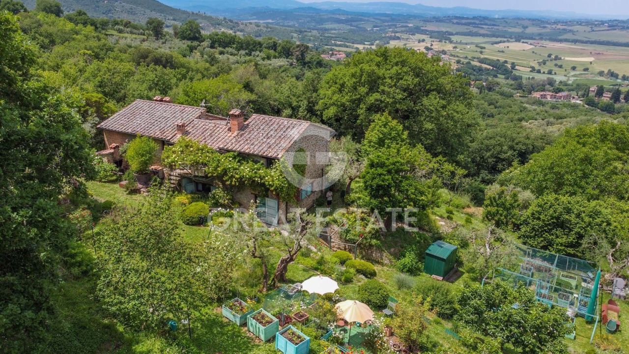 Haus in Paciano, Italien, 332.6 m² - Foto 4
