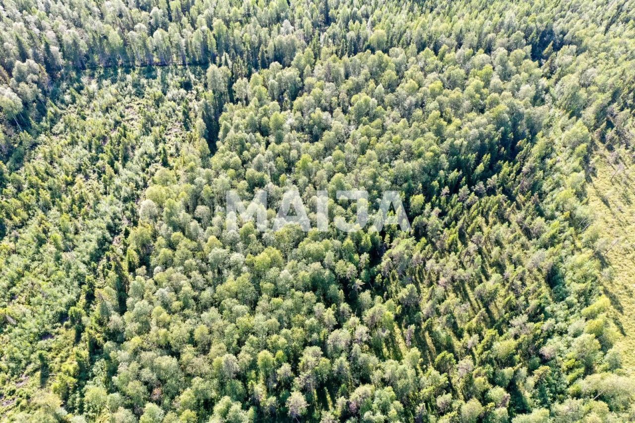 Terreno Tornio, Finlandia, 202 307 m2 - foto 18