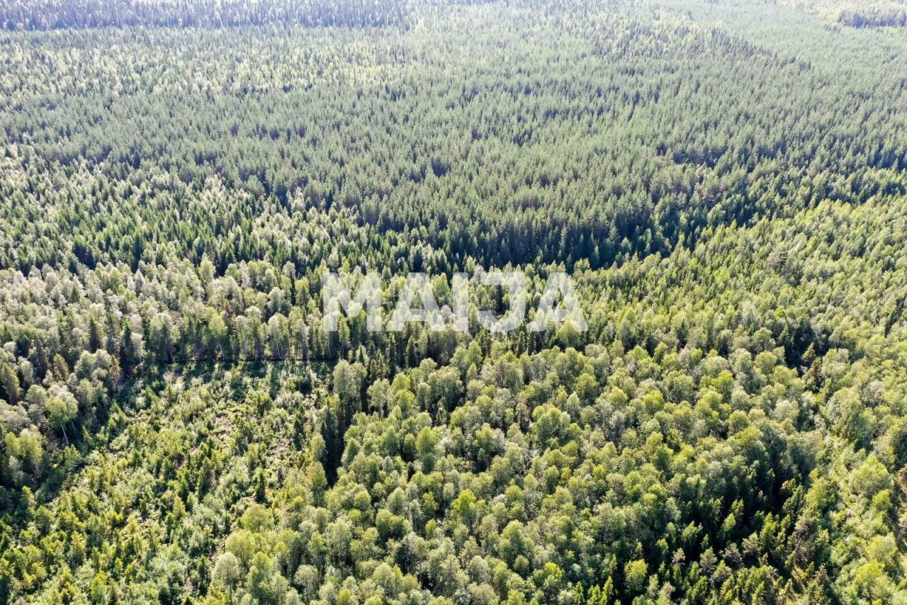 Terreno Tornio, Finlandia, 202 307 m2 - foto 19