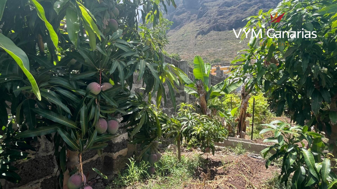 House on Tenerife, Spain, 200 m² - picture 2