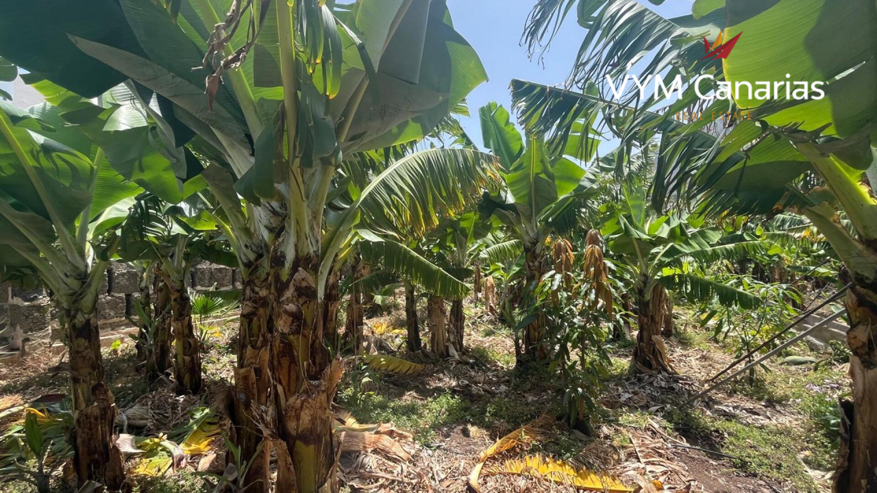 House on Tenerife, Spain, 200 m² - picture 5