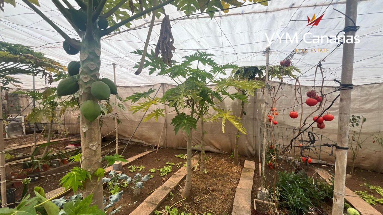 House on Tenerife, Spain, 200 m² - picture 11