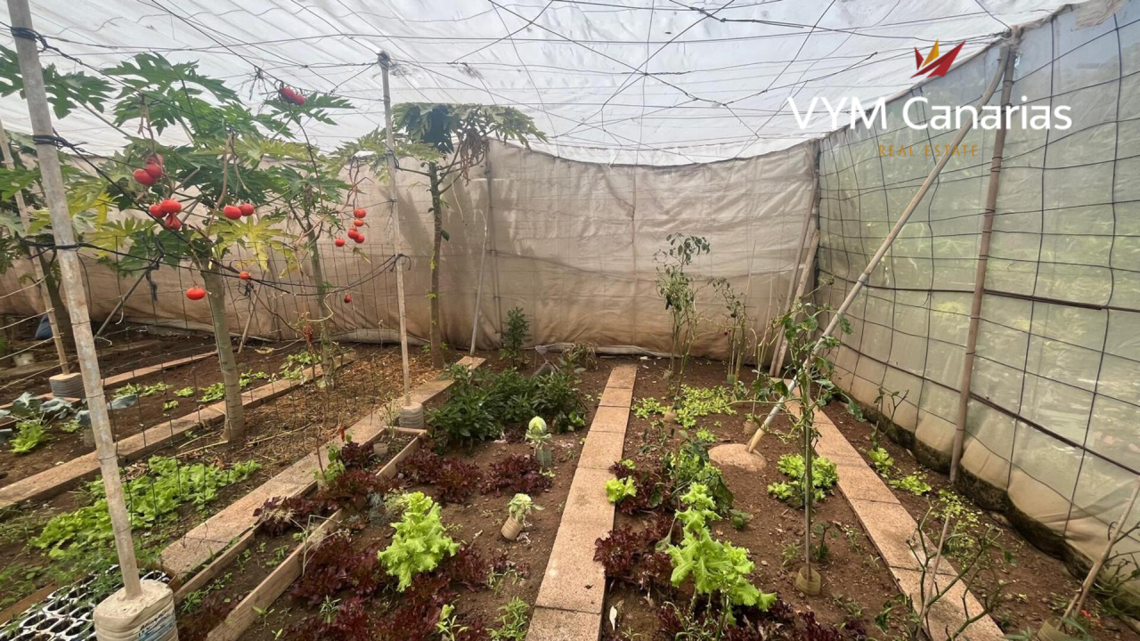 House on Tenerife, Spain, 200 m² - picture 12