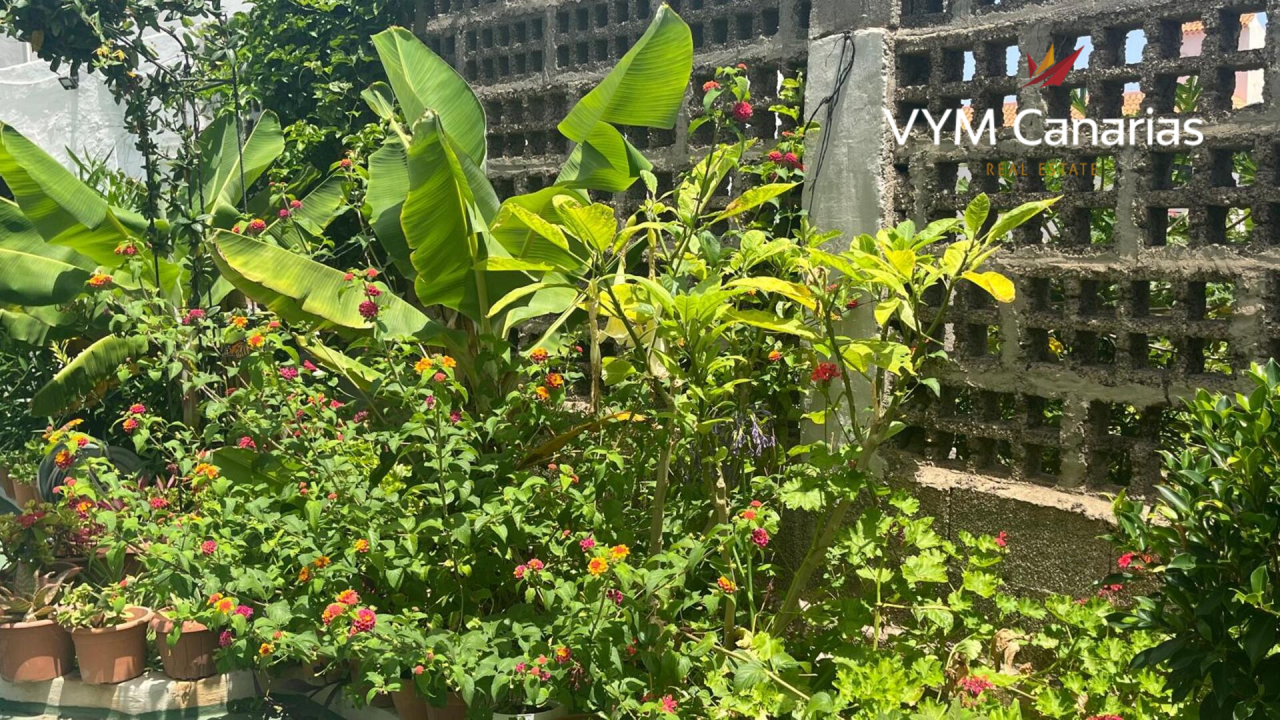 House on Tenerife, Spain, 200 m² - picture 13