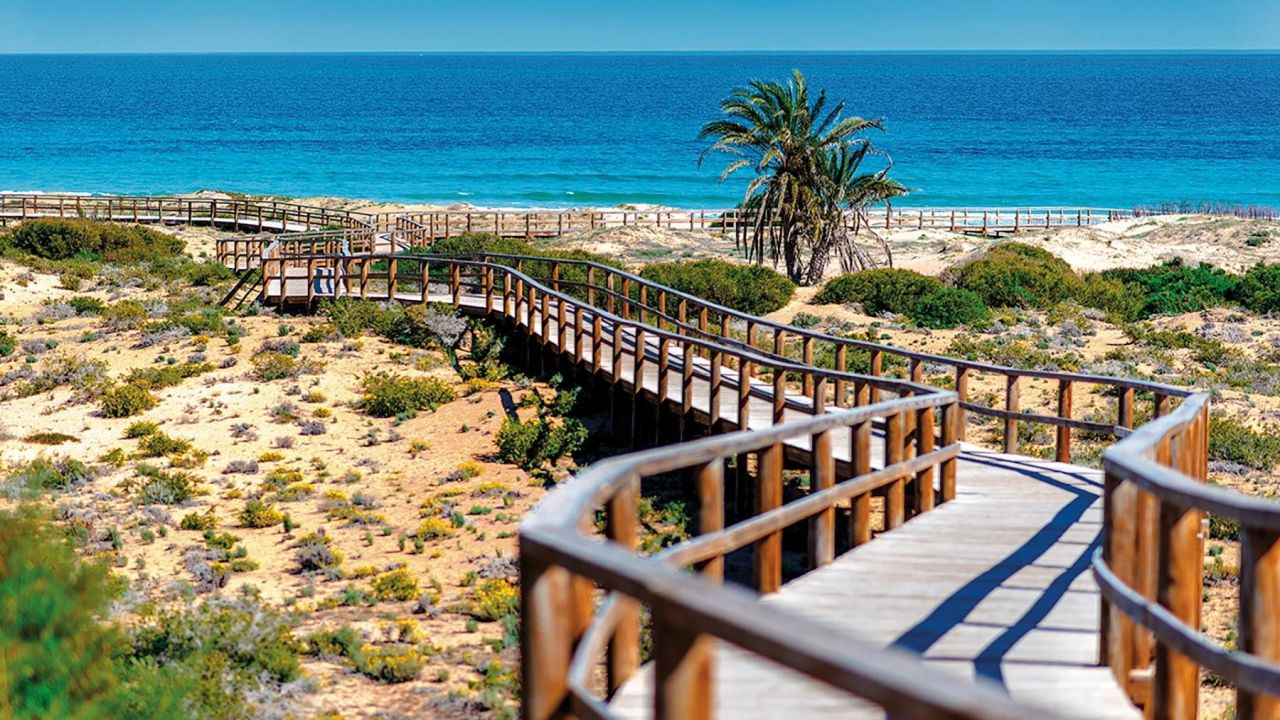 Appartement à Monforte del Cid, Espagne, 95 m² - image 19