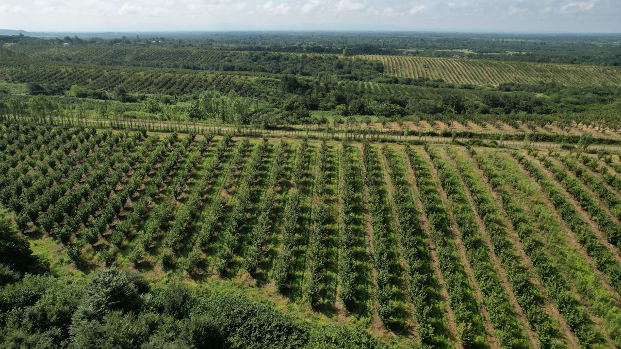 Propiedad comercial en el municipio de Khobi, Georgia, 2 080 000 m² - imagen 2