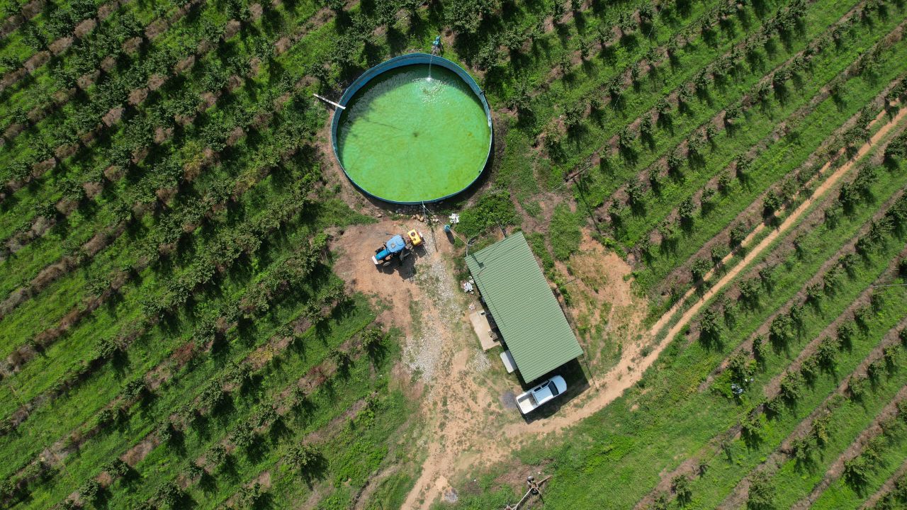 Propiedad comercial en el municipio de Khobi, Georgia, 2 080 000 m² - imagen 3