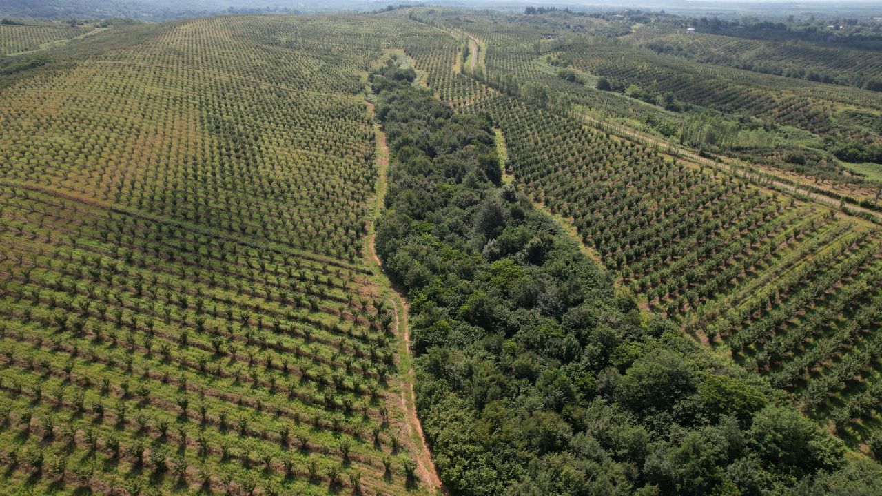 Propiedad comercial en el municipio de Khobi, Georgia, 2 080 000 m² - imagen 4