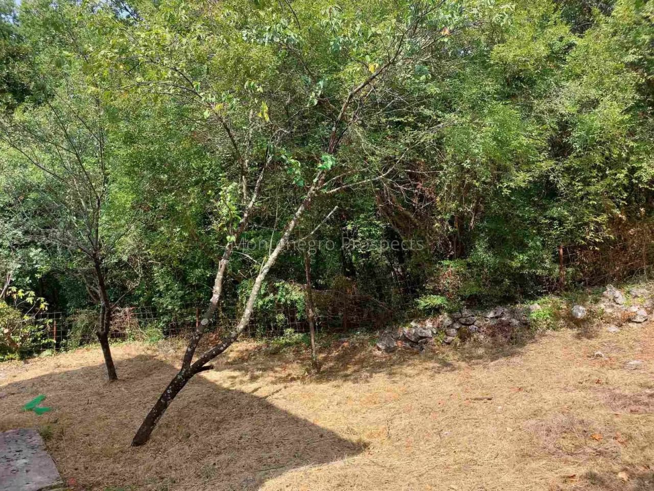 Maison à Herceg-Novi, Monténégro, 80 m² - image 5