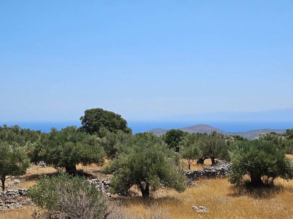 Land in Lasithi, Greece, 2 610 m² - picture 1