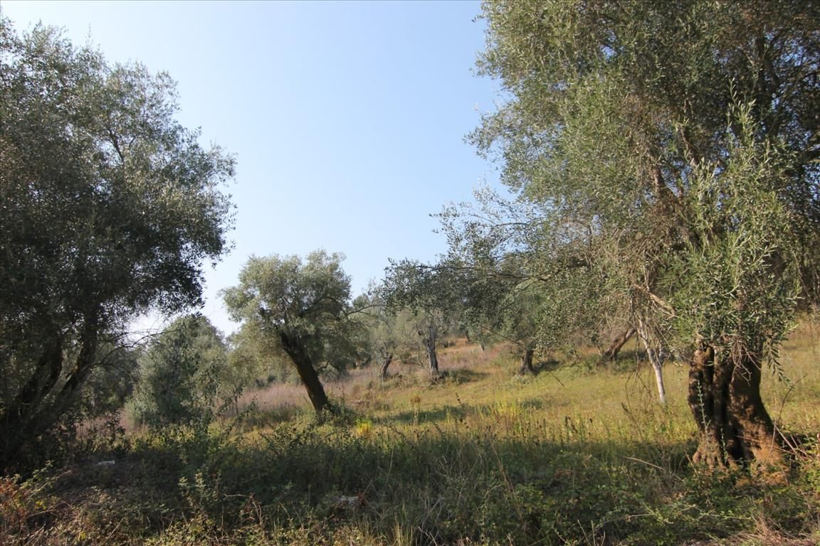 Grundstück in Korfu, Griechenland, 4 000 m² - Foto 1