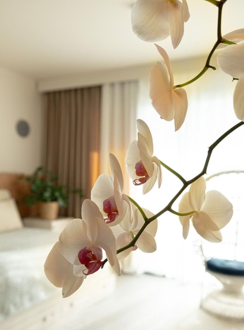 Apartamento en Esentepe, Chipre, 53 m² - imagen 8