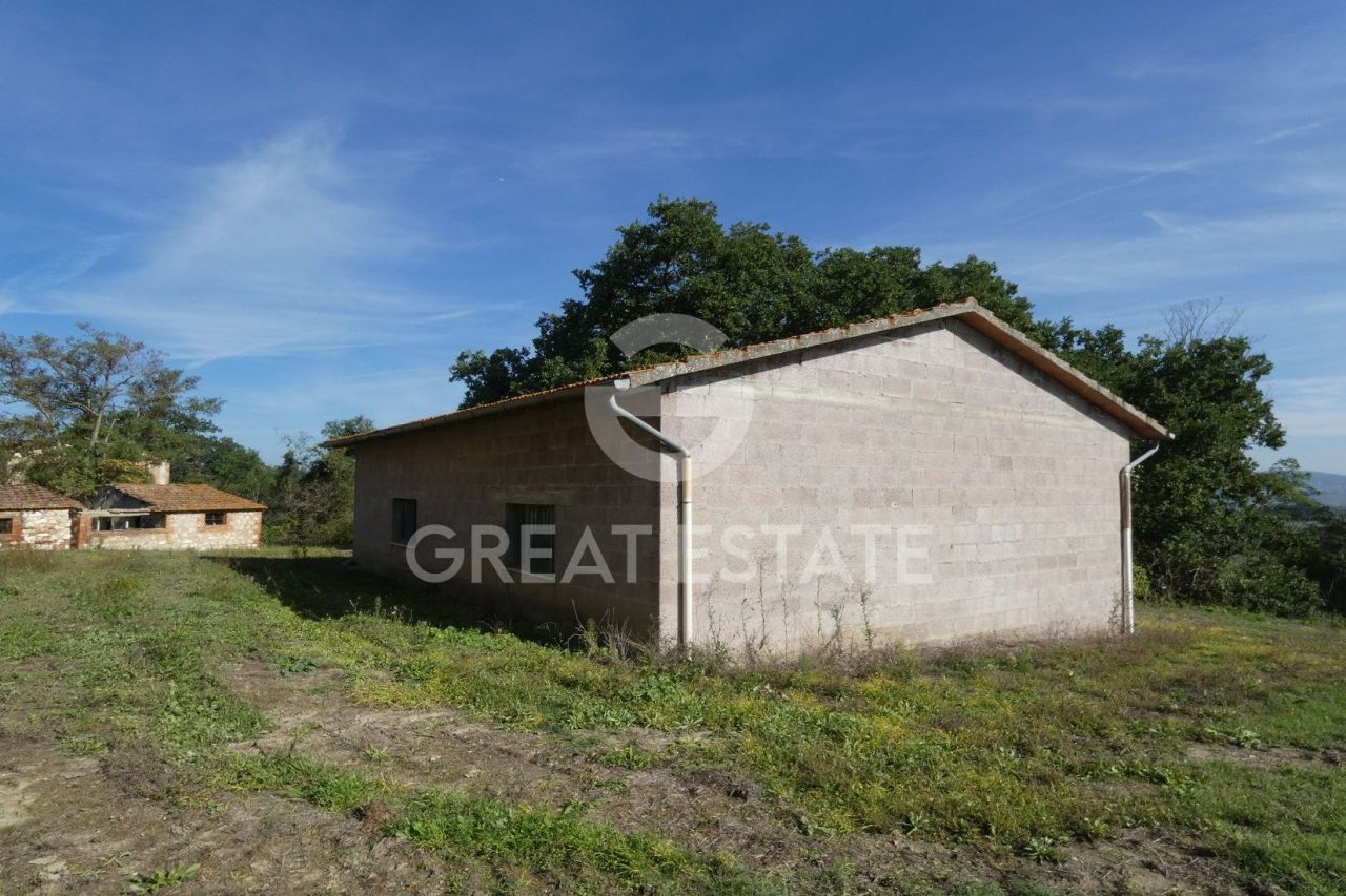 Maison à Asciano, Italie, 1 065 m² - image 7