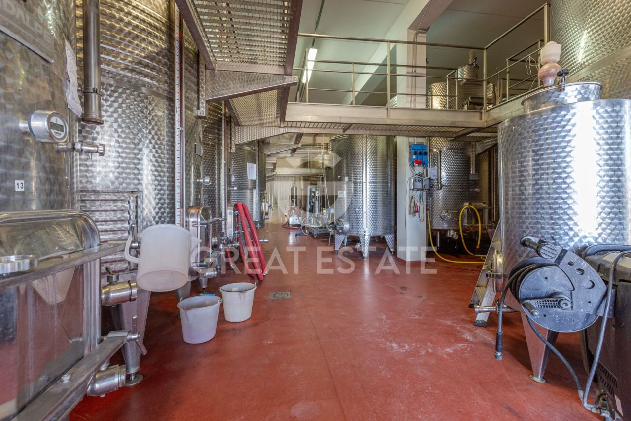 Casa en San Gimignano, Italia, 1 230.2 m² - imagen 10