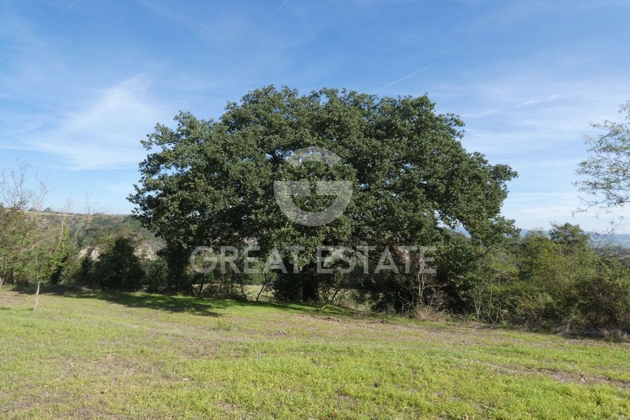 Maison à Asciano, Italie, 1 065 m² - image 11