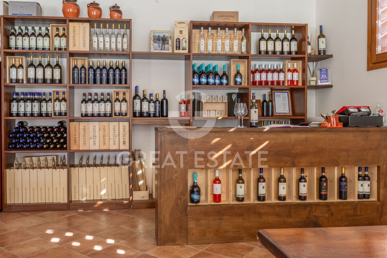 Casa en San Gimignano, Italia, 1 230.2 m² - imagen 12