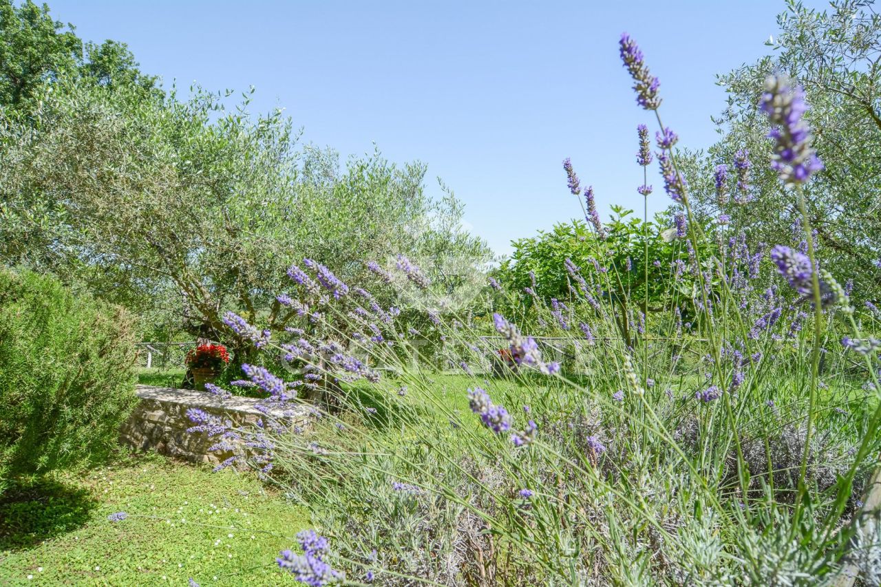 House Gualdo Cattaneo, Italy, 333.75 m² - picture 14