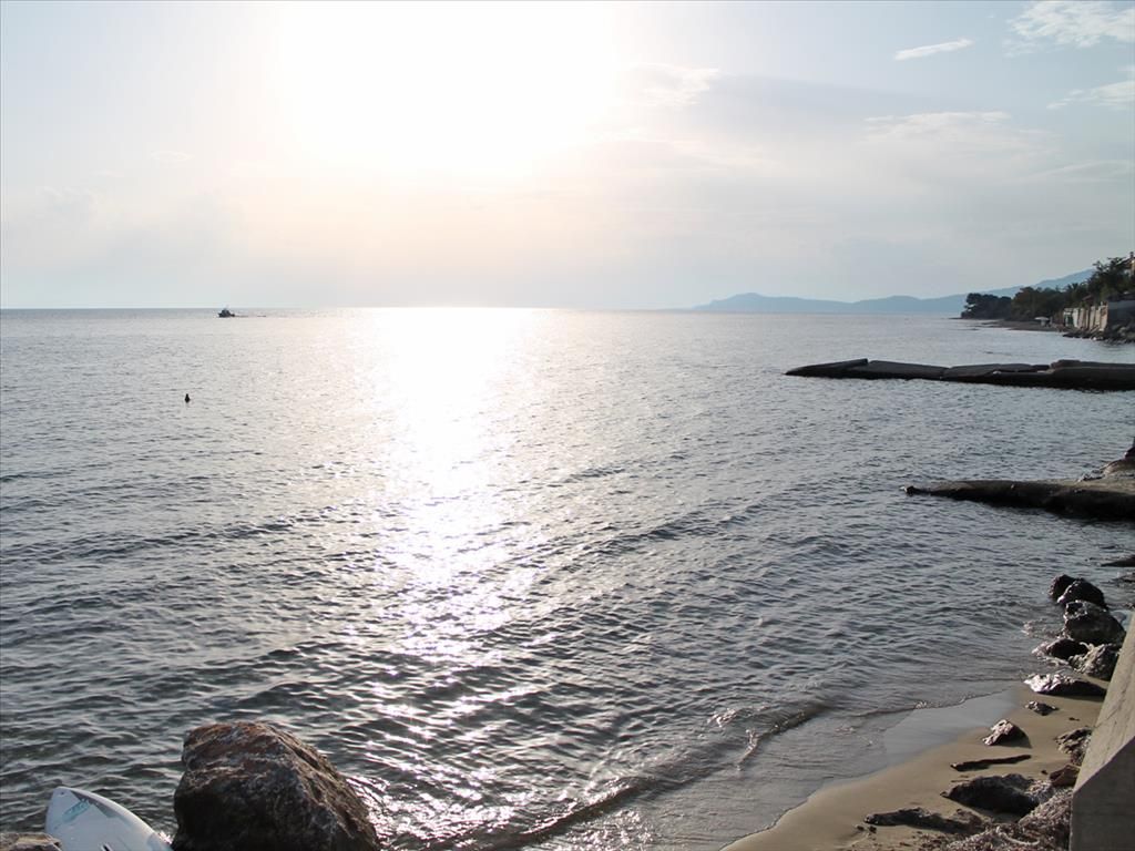 Hotel en Calcídica, Grecia, 600 m² - imagen 4