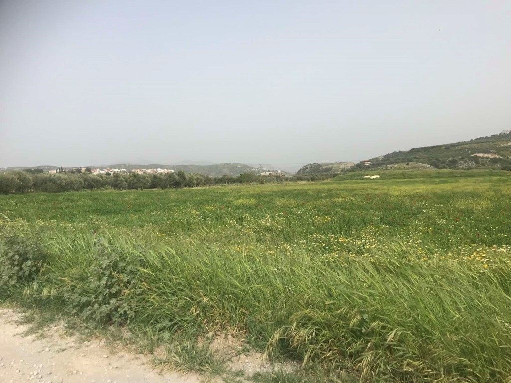 Terreno en Heraclión, Grecia, 1 800 m² - imagen 1