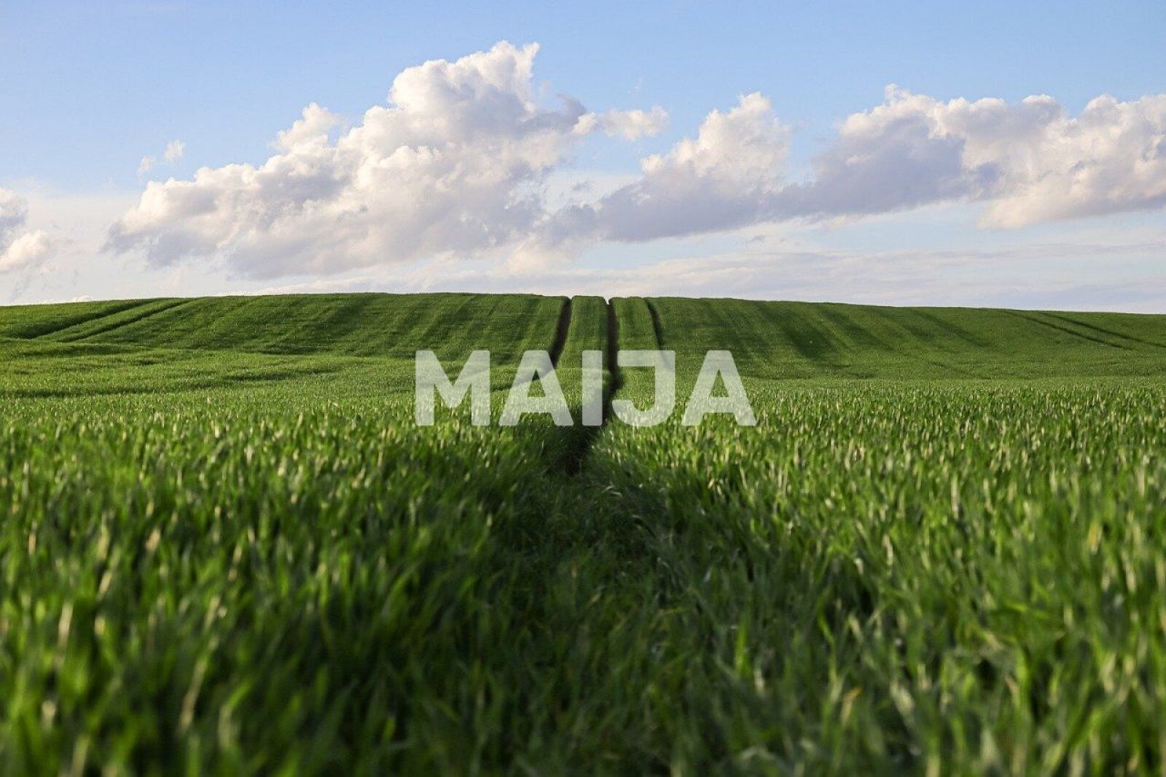 Terrain Kārsava, Lettonie, 13 250 000 m² - image 1