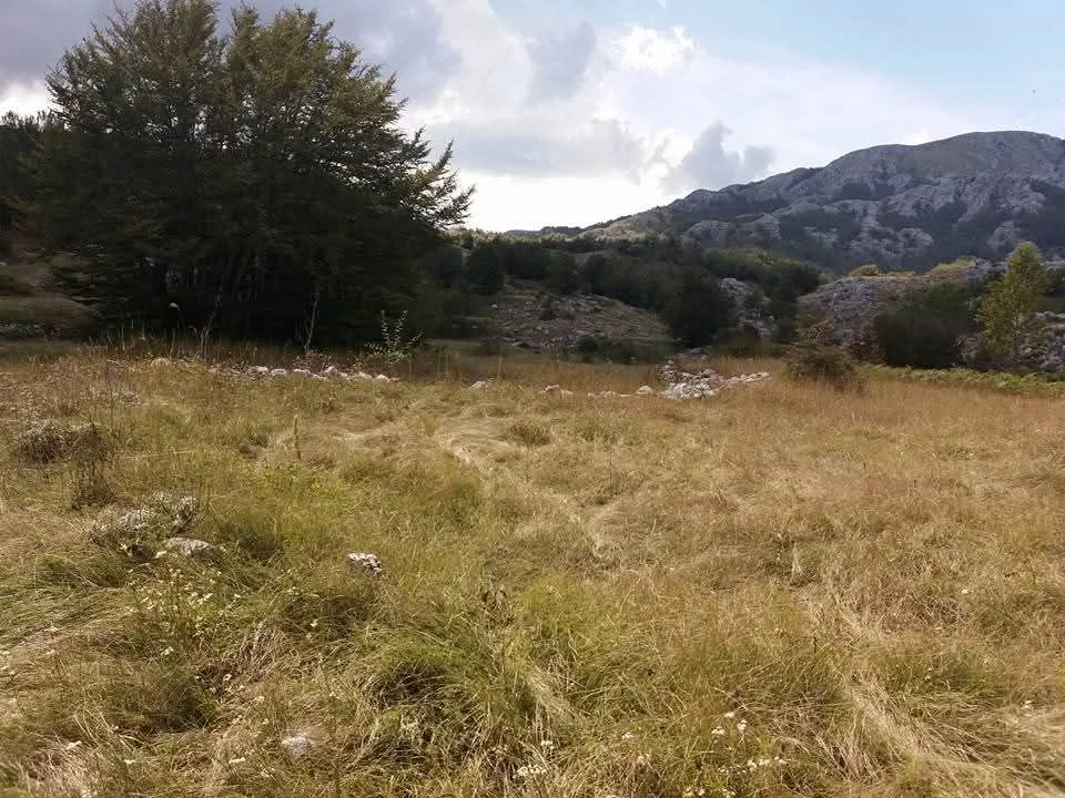 Terrain à Cetinje, Monténégro, 4 756 m² - image 1
