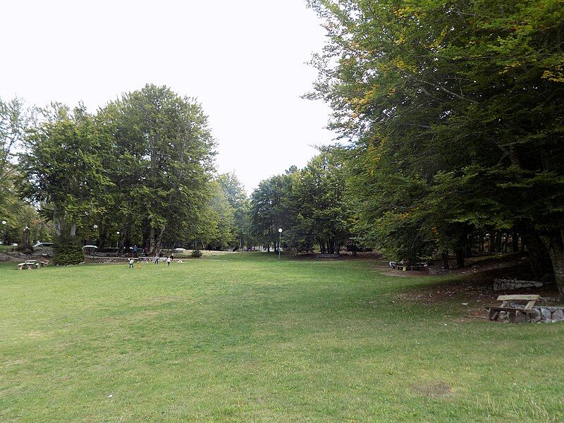 Terrain à Cetinje, Monténégro, 4 756 m² - image 4