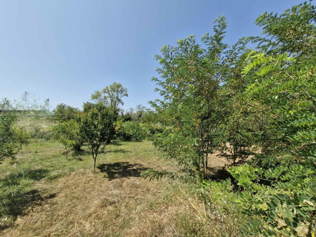 Land in Bar, Montenegro, 2 065 m² - picture 1