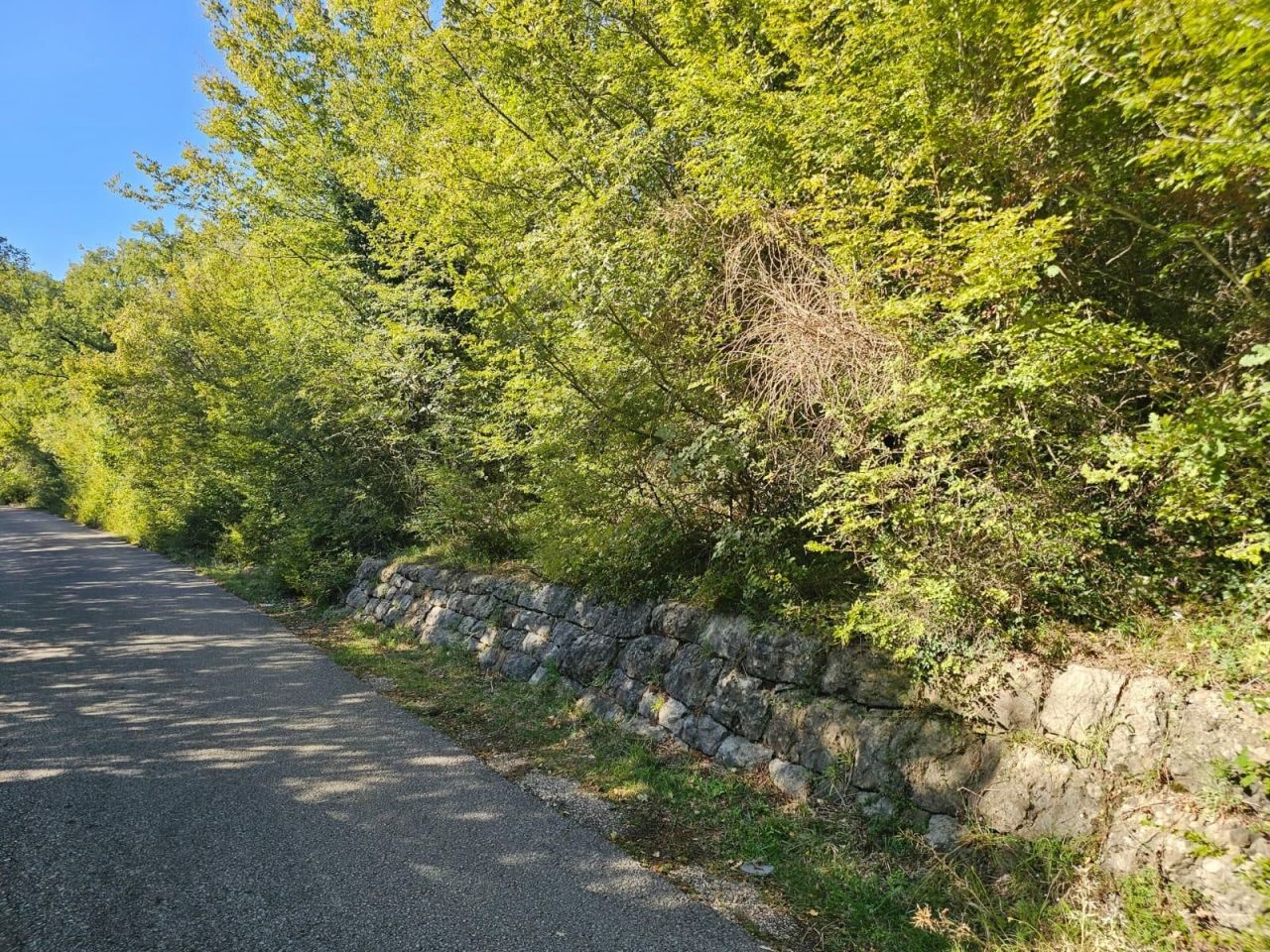 Terrain au Bar, Monténégro, 16 827 m² - image 3