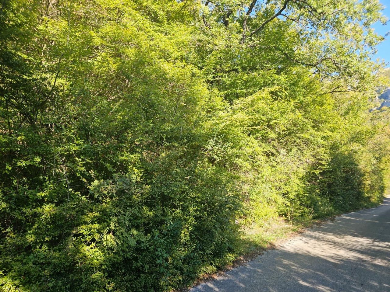 Terrain au Bar, Monténégro, 16 827 m² - image 4