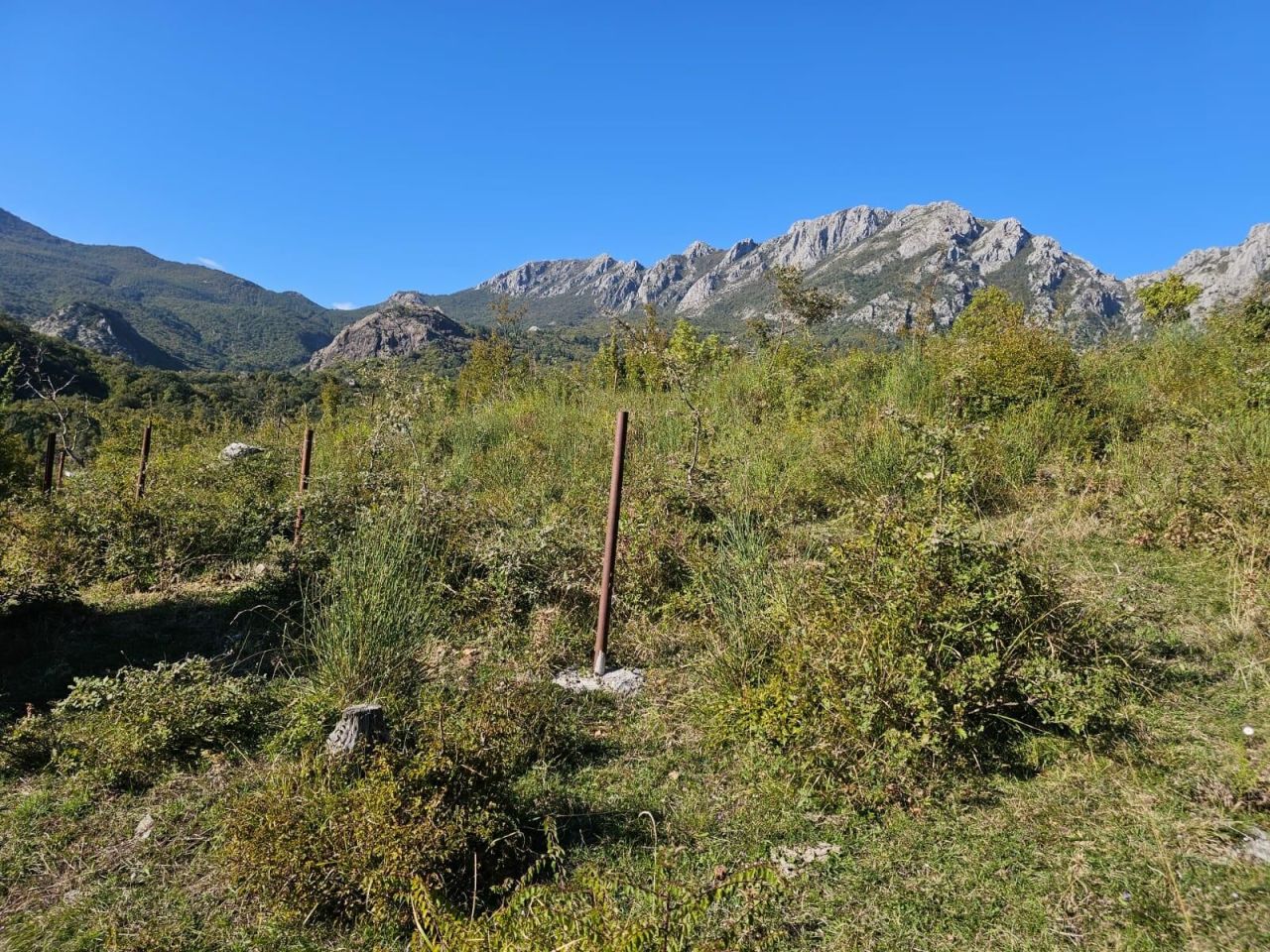 Terrain au Bar, Monténégro, 16 827 m² - image 8