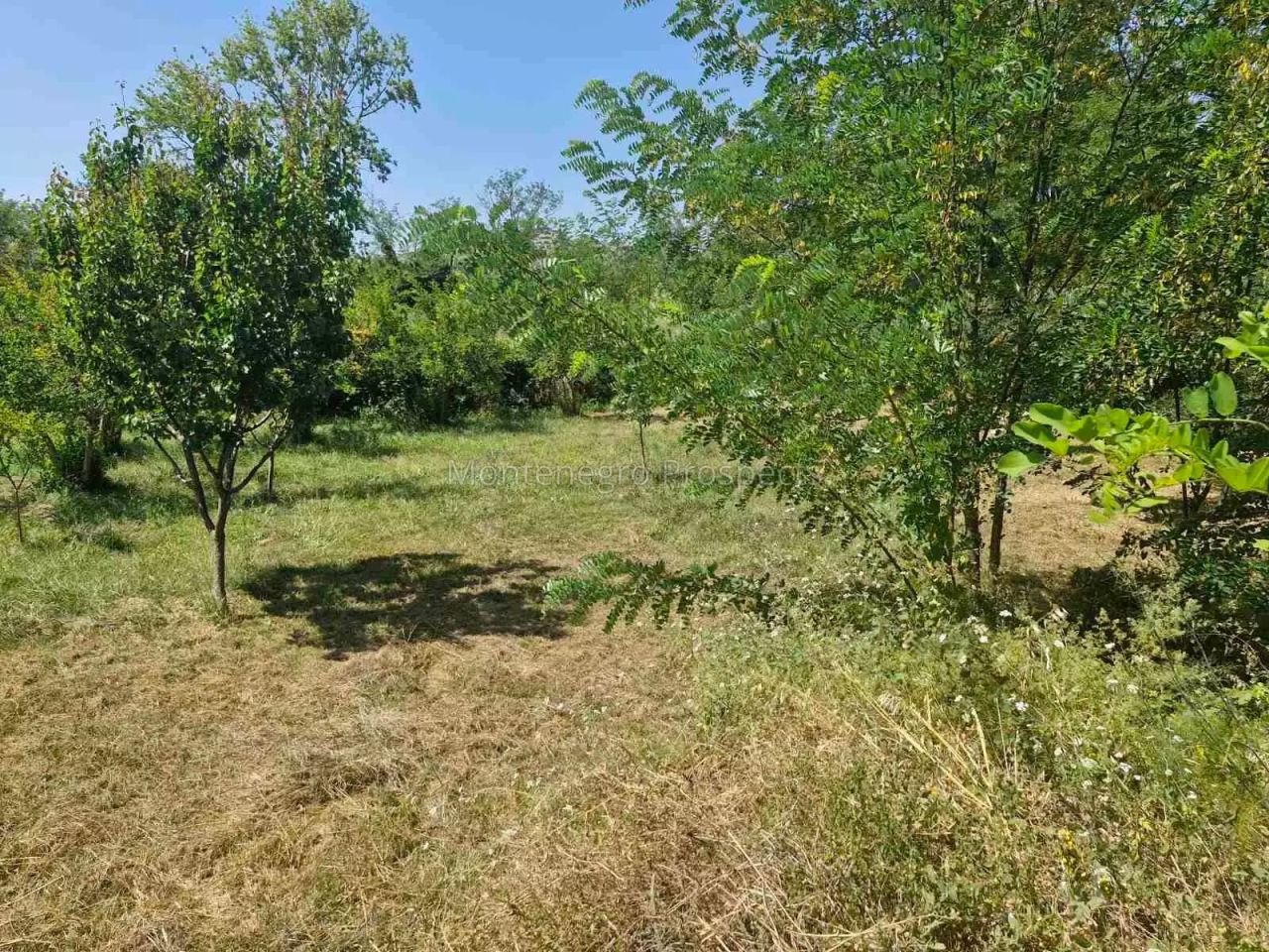 Terreno a Ulcinj, Montenegro, 2 065 m2 - foto 2