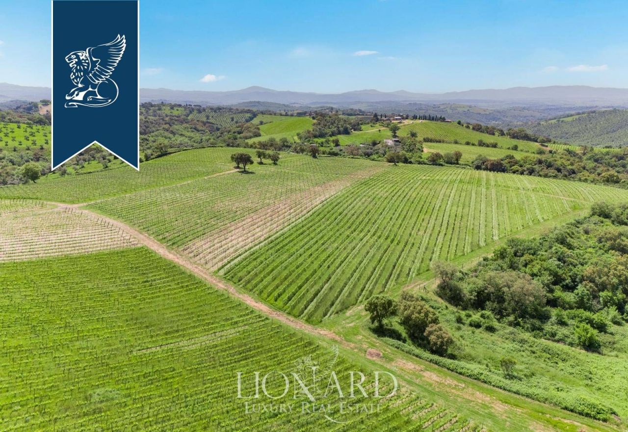 Farm in Grosseto, Italy, 185 m² - picture 5