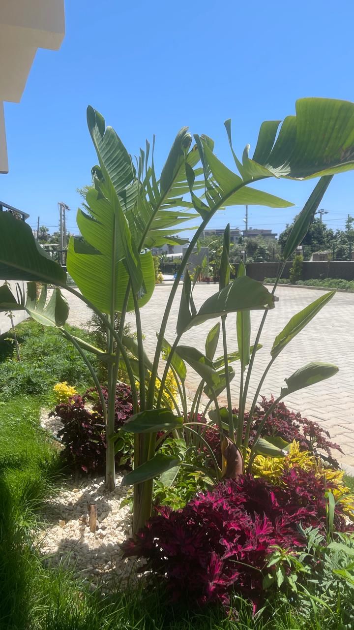 Appartement à Mersin, Turquie, 43 m² - image 15