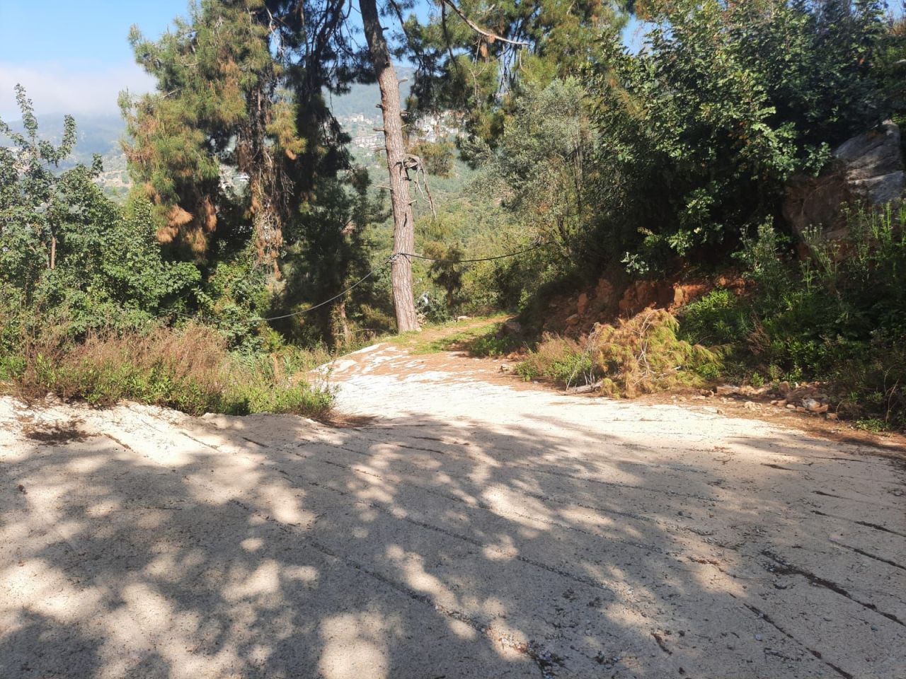 Terrain à Alanya, Turquie, 1 465 m² - image 5