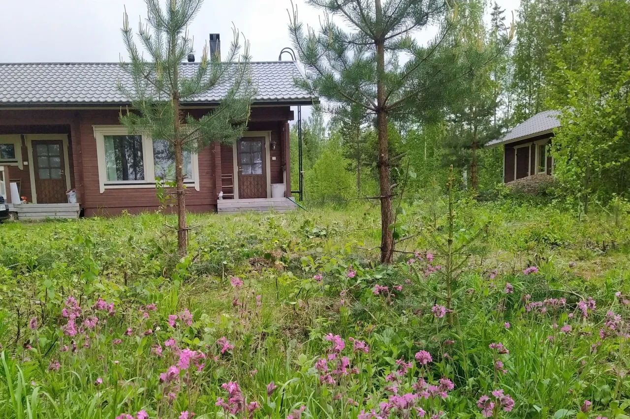 Cottage in Kerimaki, Finnland, 58 m² - Foto 1