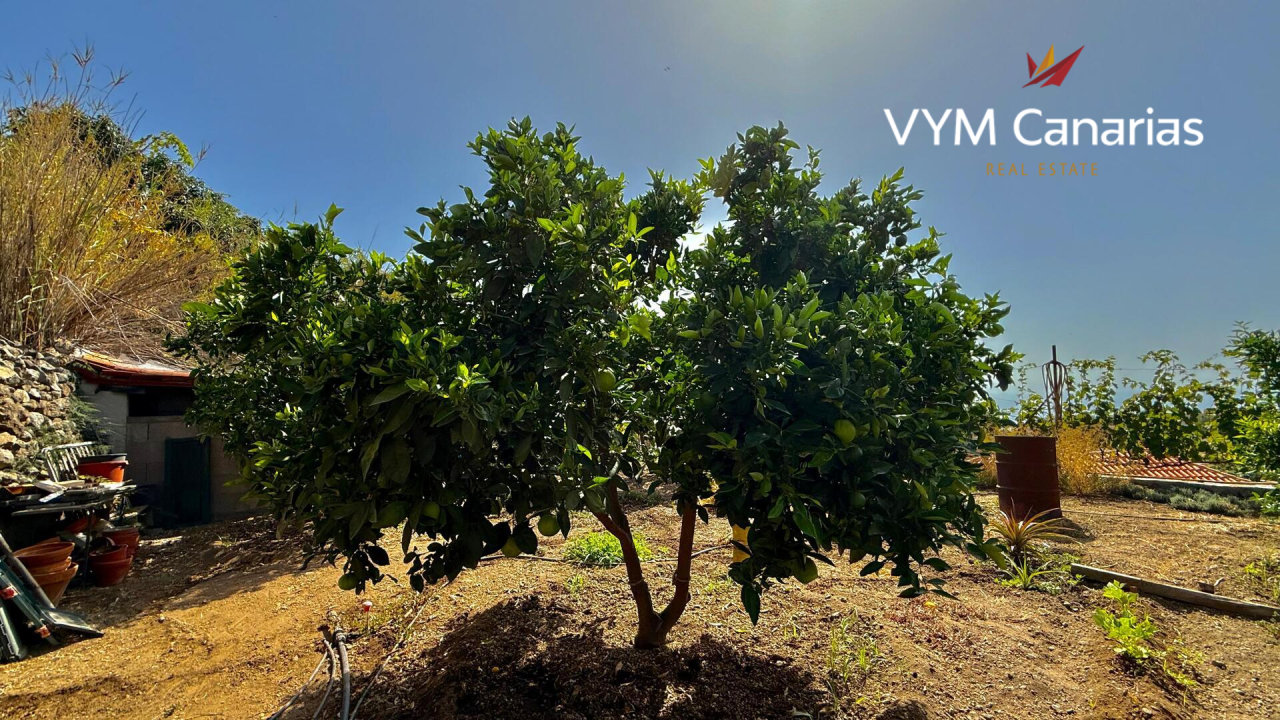 Casa en Tenerife, España, 250 m² - imagen 8