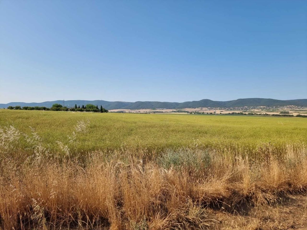 Grundstück in Tankowo, Bulgarien, 7 997 m² - Foto 3