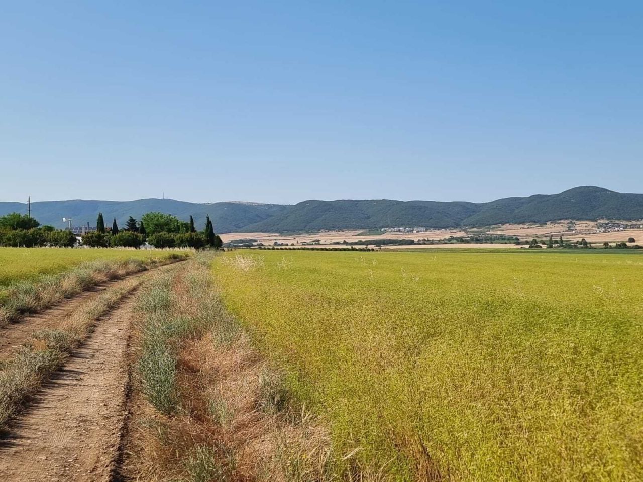 Grundstück in Tankowo, Bulgarien, 7 997 m² - Foto 5
