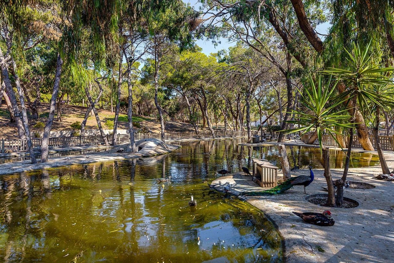 Apartamento en Guardamar del Segura, España, 76 m² - imagen 14