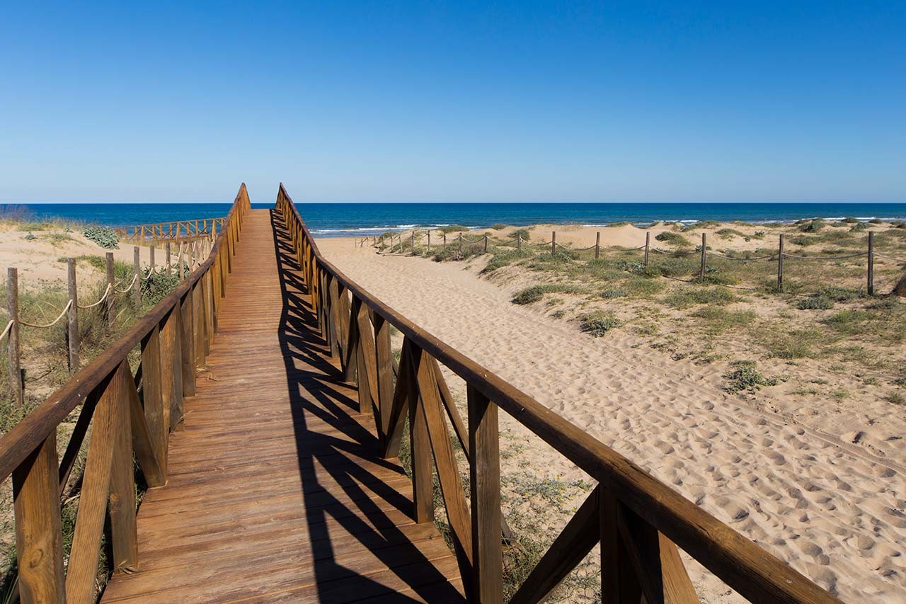 Appartement à Guardamar del Segura, Espagne, 64 m² - image 19