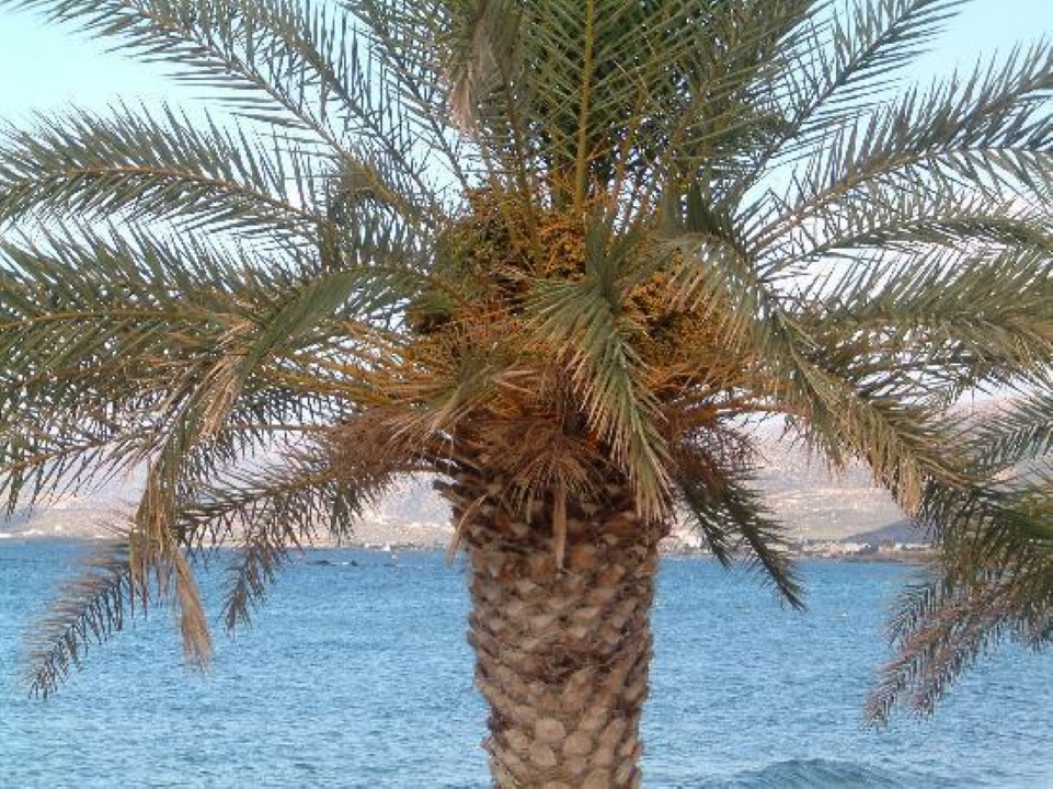 Hotel in Gouves, Greece, 1 800 m² - picture 11