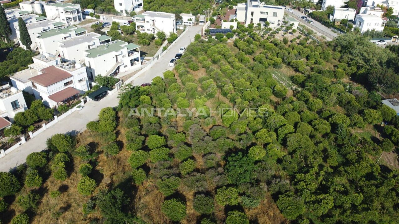 Granja en Bodrum, Turquia, 18 000 m² - imagen 2