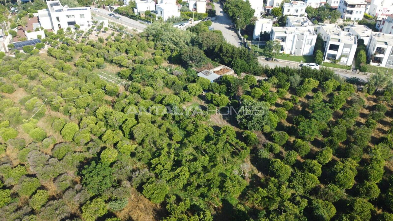 Granja en Bodrum, Turquia, 18 000 m² - imagen 5