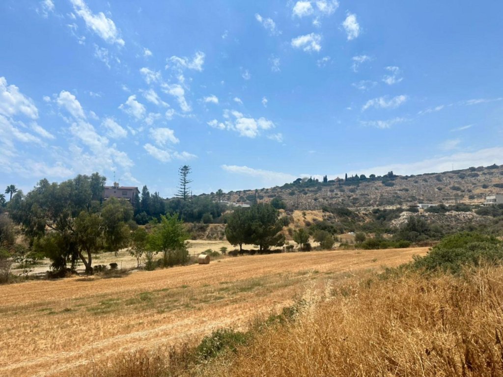 Café, restaurant à Limassol, Chypre - image 1
