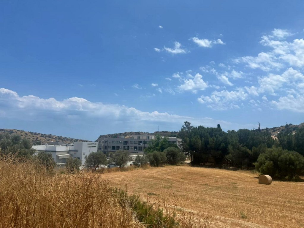 Café, restaurant à Limassol, Chypre - image 4