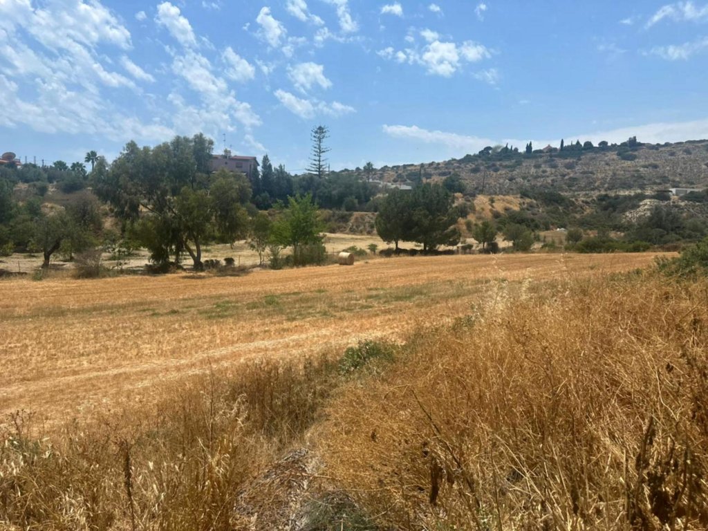 Café, restaurant à Limassol, Chypre - image 7