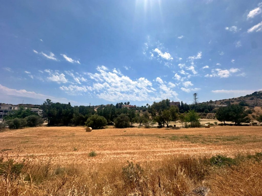 Café, restaurant à Limassol, Chypre - image 8